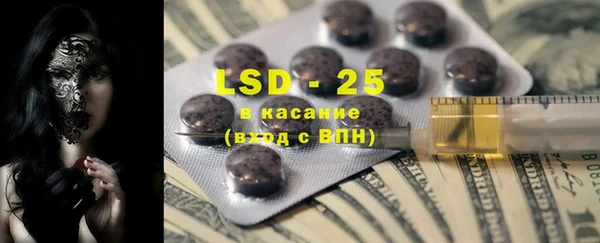 PSILOCYBIN Алзамай