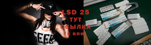 PSILOCYBIN Алзамай