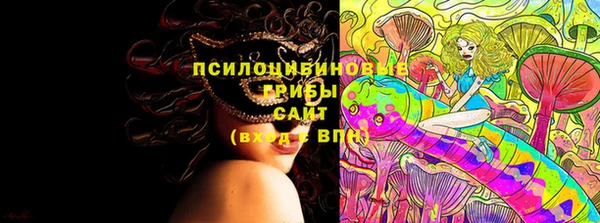 Альфа ПВП Алексин