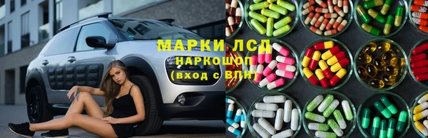 PSILOCYBIN Алзамай