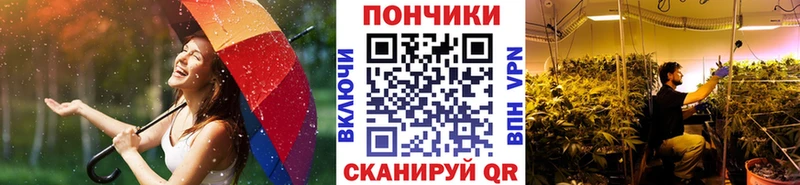 дарнет шоп  Александровск  Конопля LSD WEED 